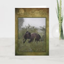 Search for black horse cards Equine