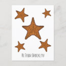 Search for echinoderm postcards Ocean