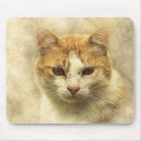 Recherche de blanc orange tapis souris Aquarelle