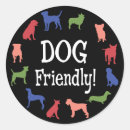 Search for pet friendly stickers Colourful