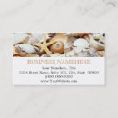 Search for sea shell business cards Photography