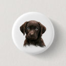 Recherche de labrador retriever badges Extracteur