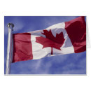 Search for maple leaf flag postcards Symbol