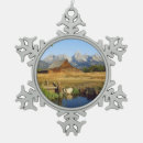 Search for barn ornaments Vintage