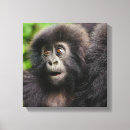 Search for rwanda art Animal