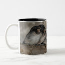 Search for swallows mugs Wildlife