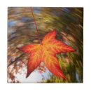 Search for autumn leaf tiles Botanical