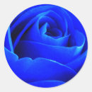 Search for hue stickers Colour
