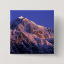 Search for summit buttons Alpine