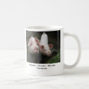 Recherche de acores tasses Le portugal