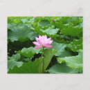 Search for religions postcards China
