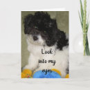 Search for funny dog anniversary cards Husband