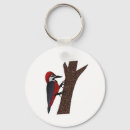 Search for talon keychains Bird