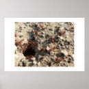 Search for ant posters Insects