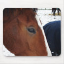 Search for horse eye electronics White