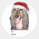 Search for afghan hound gift wrap Santa