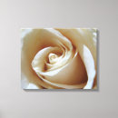 Search for macro rose canvas prints Photography