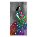 Search for peacock feathers posters Girly