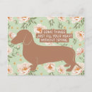 Recherche de teckels cartes postales Dachshund