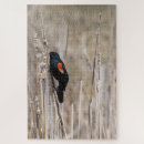 Search for weed puzzles Field