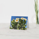 Search for desert thank you cards Saguaro