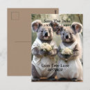 Search for koala postcards Bear