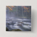 Search for trees in fog buttons Fall