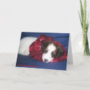 Search for charity holiday cards Animal rescue