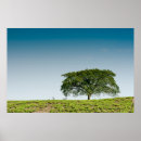 Search for plantations posters Tree