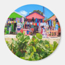 Search for shanti magnets Vacation