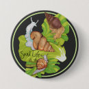 Search for snail buttons Gastropod