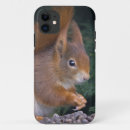 Search for nut iphone cases Animals