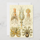Search for squid invitations Tentacles