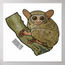 Recherche de tarsier posters Primate