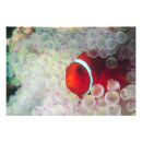 Search for clown fish art Underwater