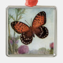Search for purple butterfly ornaments Beautiful