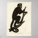 Search for vintage monkey posters Antique