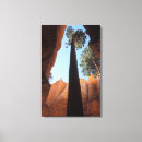 Recherche de bryce canyon national park posters Paysage