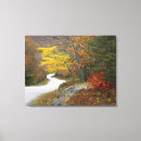 Search for lead canvas prints Usa