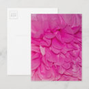 Recherche de texture de papier cartes postales Rose