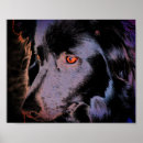 Recherche de yeux de chien posters Noir