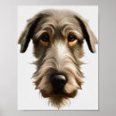 Recherche de champ de vision Dog