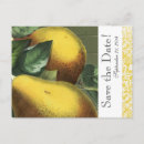 Search for pear green invitations Vintage