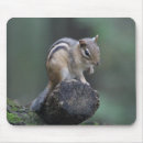 Search for chipmunks mousepads Wildlife