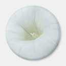Search for bindweed kitchen dining White
