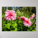Search for asteraceae art Garden