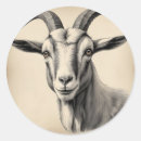 Search for etching stickers Portrait