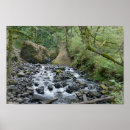 Search for bridal falls posters River