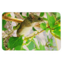 Search for cat and mouse magnets Cute