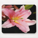 Search for stargazer mousepads Nature